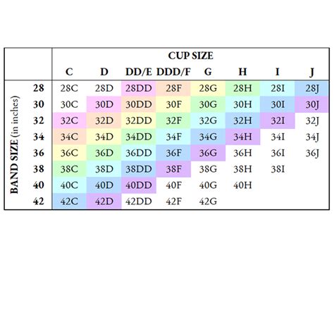 c cup breasts|How CC Sizes Correspond to Bra Cup Sizes 